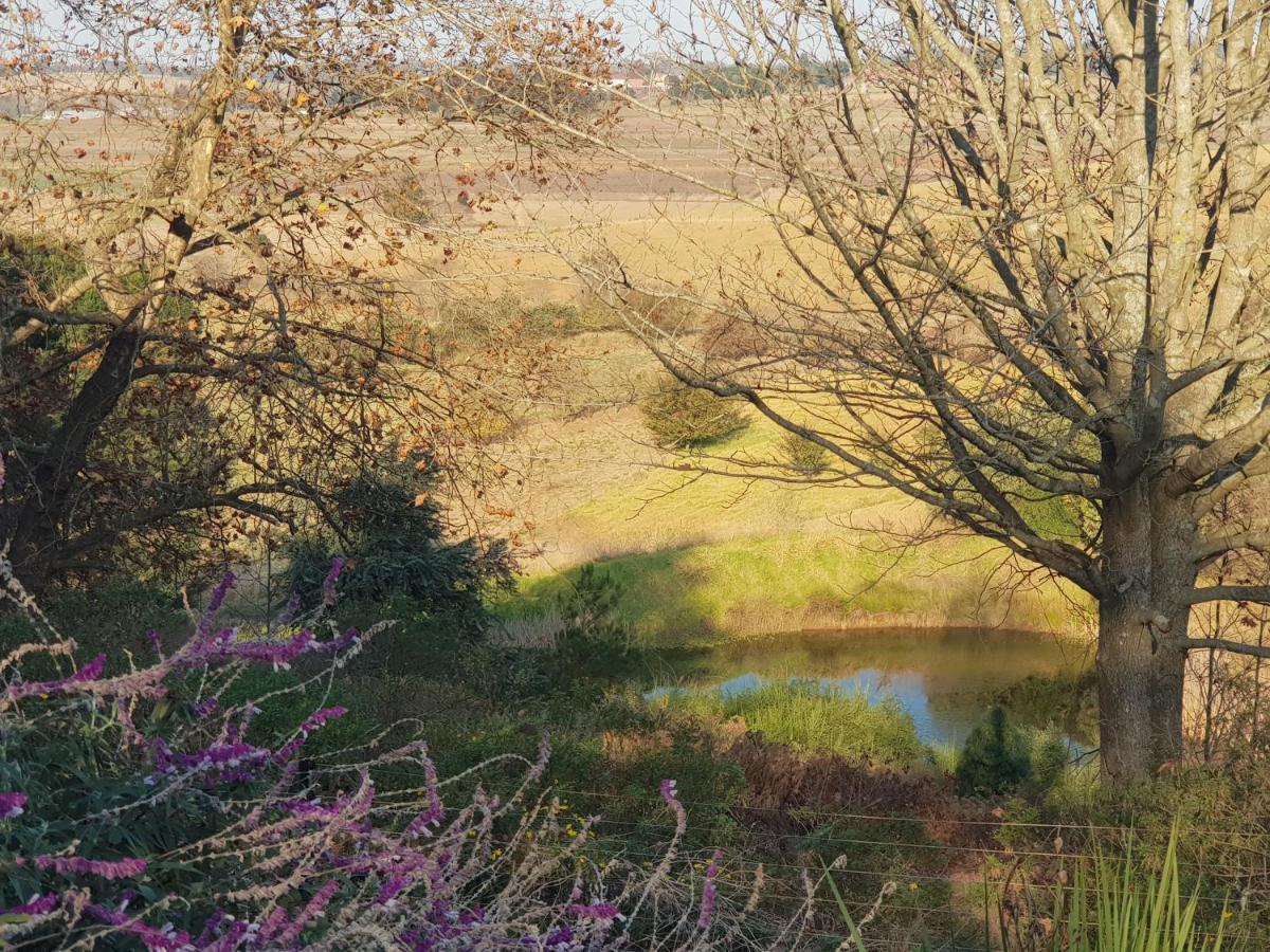 האוויק Little Fields Country House And Cottages מראה חיצוני תמונה