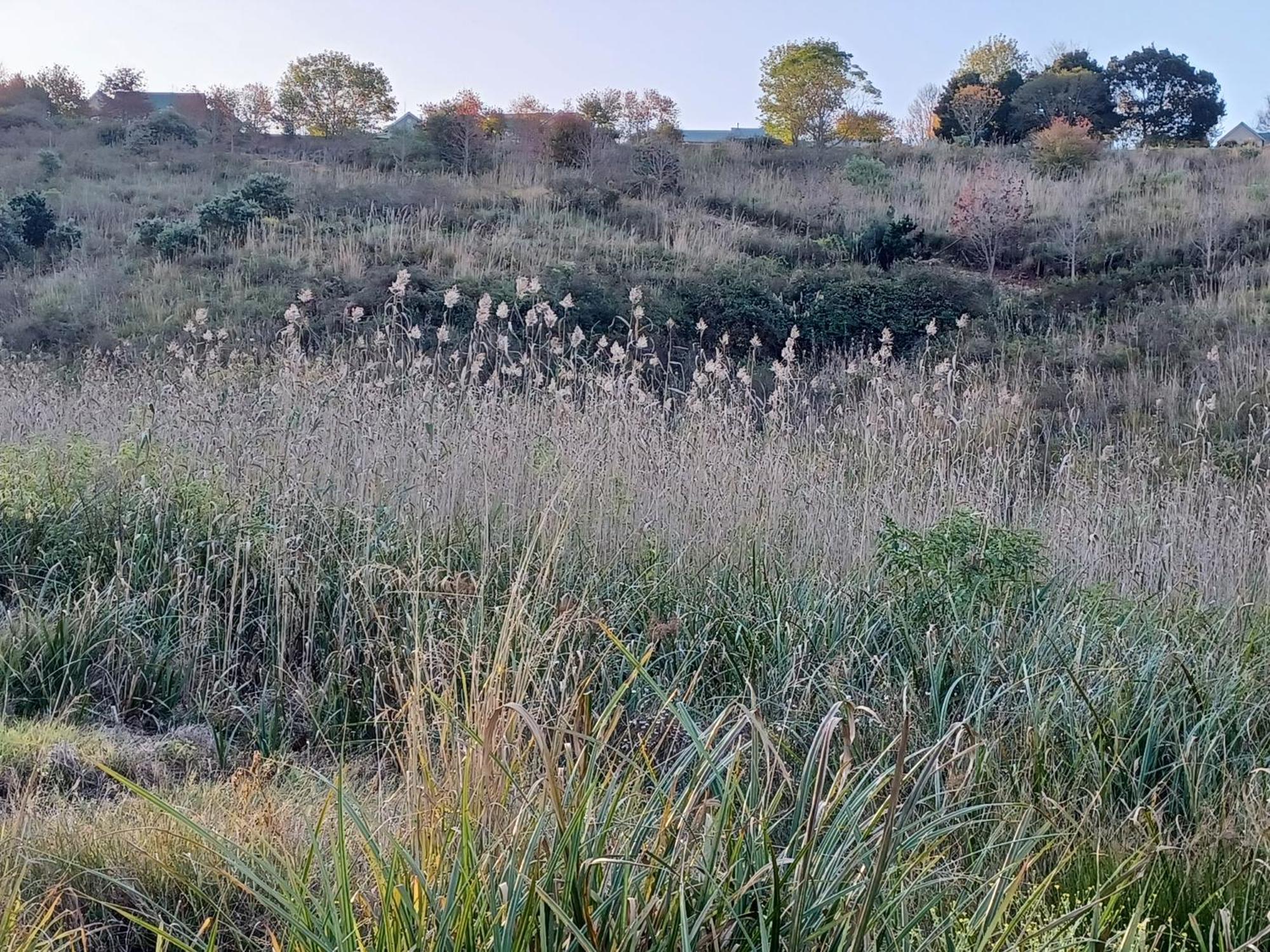 האוויק Little Fields Country House And Cottages מראה חיצוני תמונה