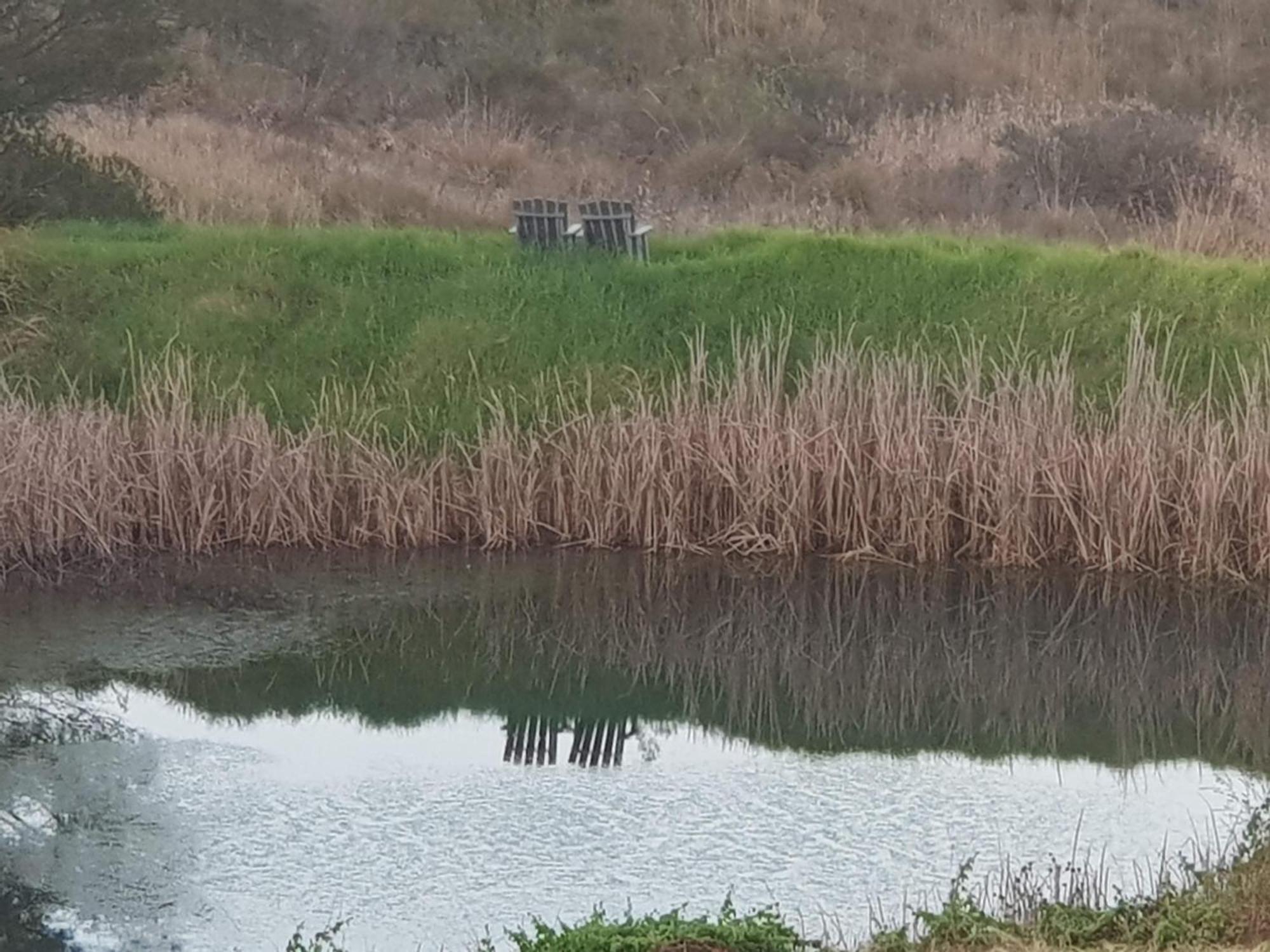 האוויק Little Fields Country House And Cottages מראה חיצוני תמונה