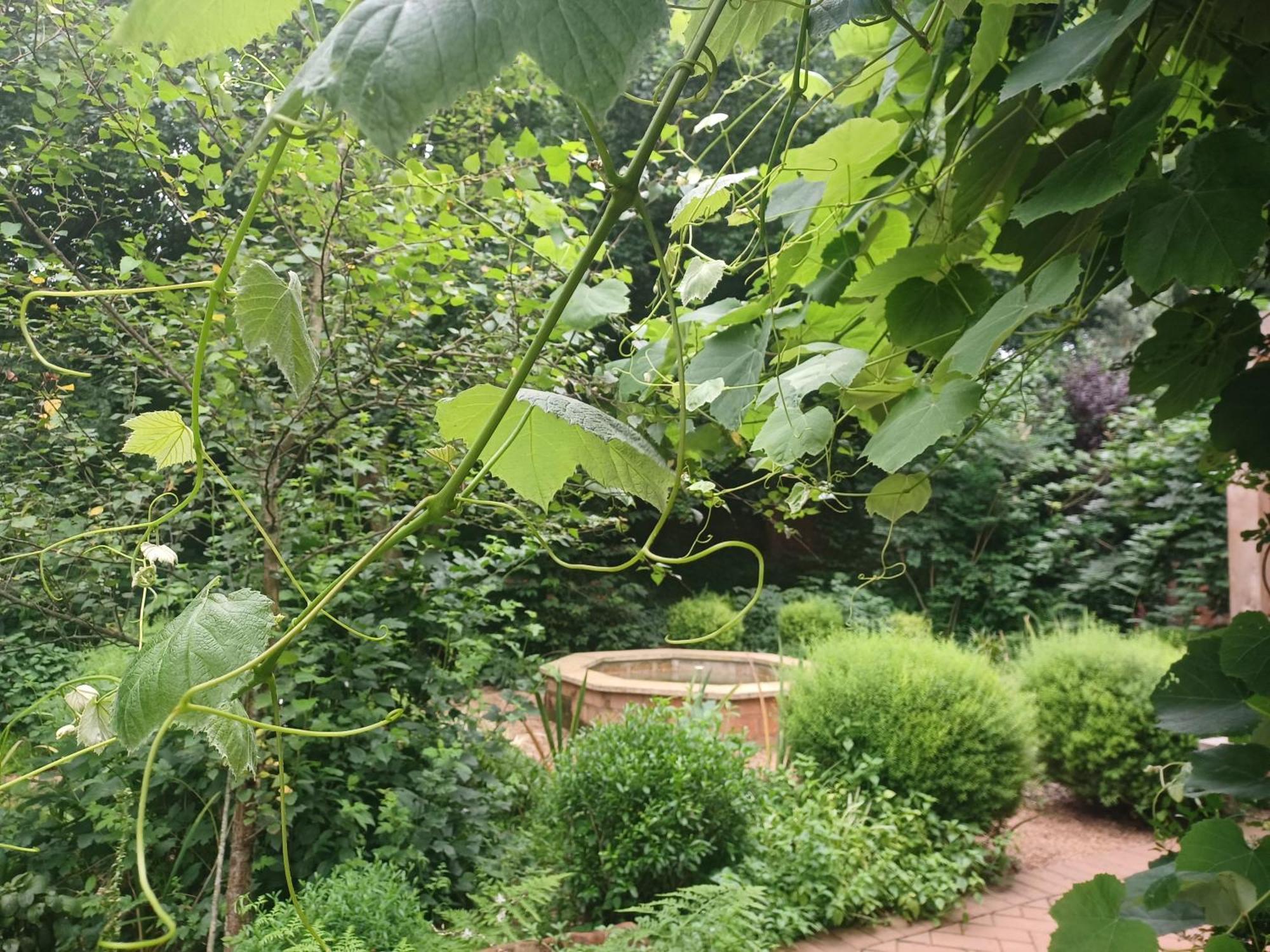 האוויק Little Fields Country House And Cottages מראה חיצוני תמונה